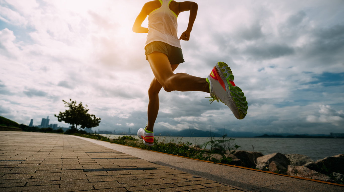 muscle fatique and muscle soreness